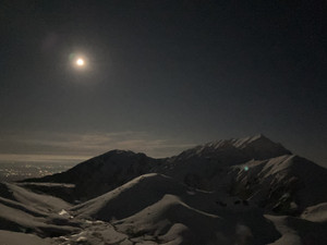 Image_50385409 Image_50385409