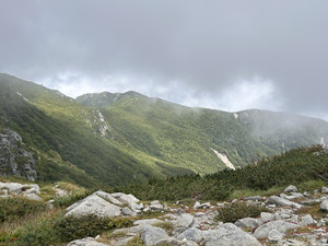 Image_50381057