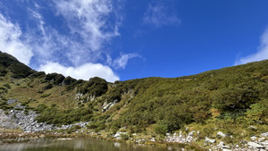 Image_50406913