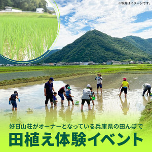 2505riceplanting_1080x1080_4