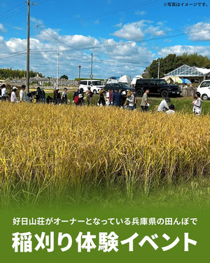2510riceharvesting_1080x1350