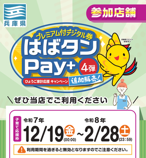 Material_poster_a4_20251013_page000