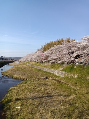 1kimg20260403_01_burst2026040316074