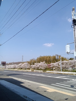 2kimg20260403_135957577