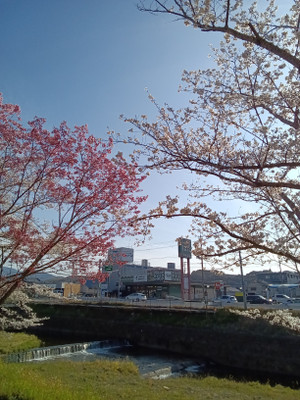 Kimg20260403_160851700