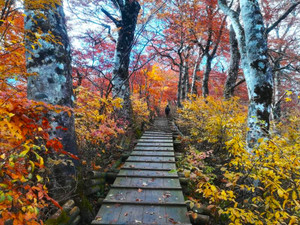 Img_20211105_1041232