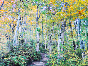 Img_202511052__074159 Img_202511052__074159