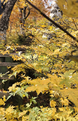 Img_202511052__102436 Img_202511052__102436