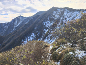 Img_20251105_090655 Img_20251105_090655