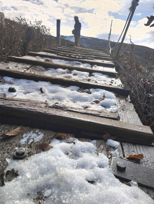 Img_20251105_091514 Img_20251105_091514