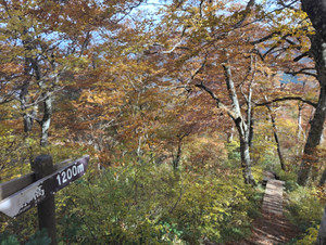 Img_20251105_102313 Img_20251105_102313