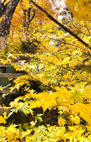 Img_202511052__102436