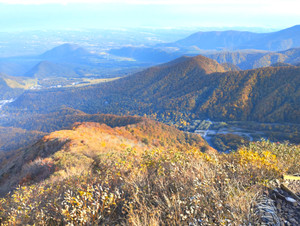 Img_20251105_085243_2