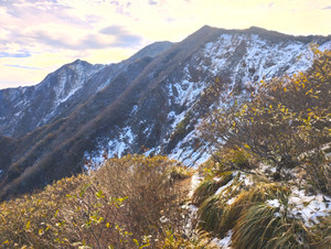 Img_20251105_090655_2