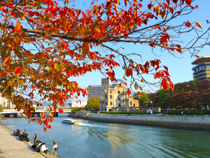 Img_20251114_085419_2