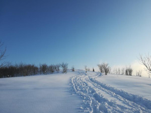 Img_20210220_0736401