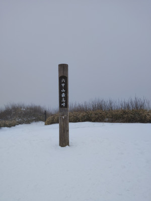 Img_20260208_121531_2