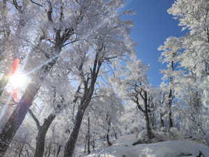 Img_20260217_100239 Img_20260217_100239