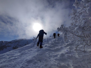 Img_20260217_102147 Img_20260217_102147