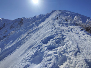 Img_20260217_104953 Img_20260217_104953