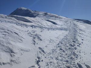 Img_20260217_111439 Img_20260217_111439