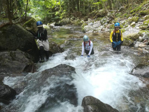 Img_20210905_104954_3 Img_20210905_104954_3