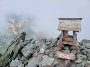 24_3180m 24_3180m