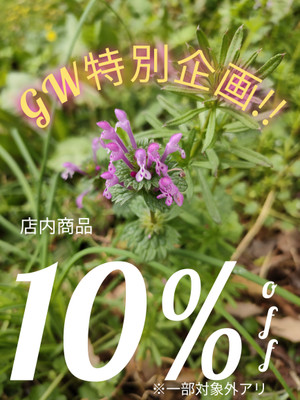 GW特別企画!!　10％OFF!!