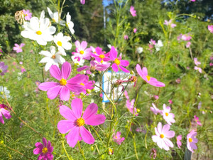 Img_20230926_074444
