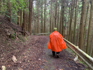 1761299769100_105319 1761299769100_105319