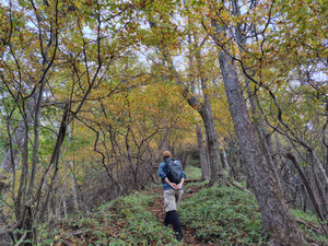 251029084802388_104659 251029084802388_104659