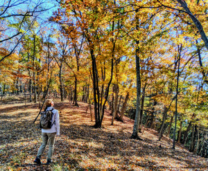 2511171114439752_111631