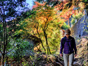 2511171227109602_111357