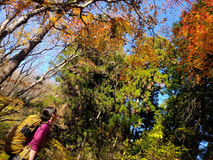 Img_20231207_104354 Img_20231207_104354