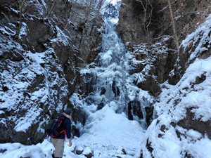 260209095015452_104801