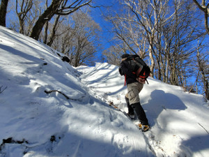 2602091139539912_104548