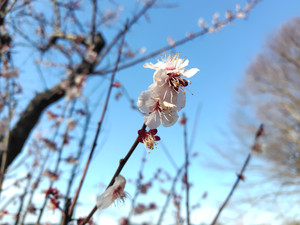 260311144354529_060724