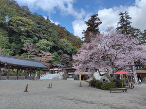 260327095350400_093701