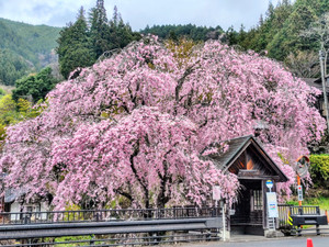 2604101401331952_023015