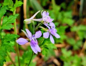 2604101458147022_022901