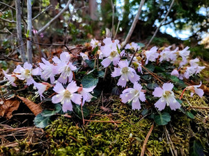 Img_20230403_100810_2