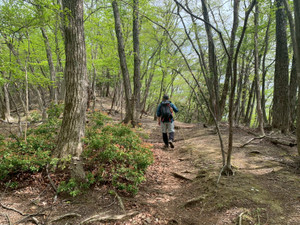 1776862818907_094800