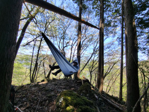 260416111650139_093903