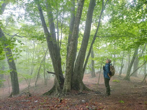 Dsc_0587 Dsc_0587