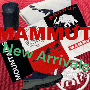 Photoroom_20260331_115847