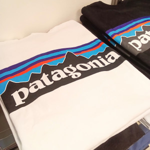 Kimg20260611_1624378712 パタゴニア patagonia ロゴT 半袖