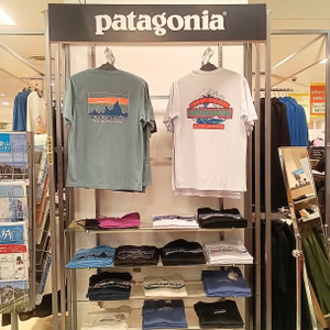 Kimg20260611_1625552682 パタゴニア patagonia ロゴT 半袖 長袖