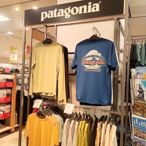 Kimg20260611_1634521242 パタゴニア patagonia ロゴT キャプリーン 半袖 長袖