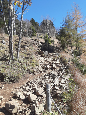 20251028_105031 20251028_105031