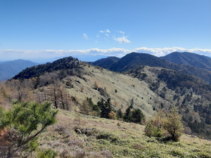 20251028_114328 20251028_114328